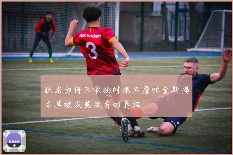 狄龙为何只敢挑衅老年詹帕金斯揭示其被灰熊放弃的真相