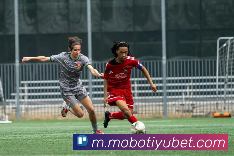 多媒体互动体验